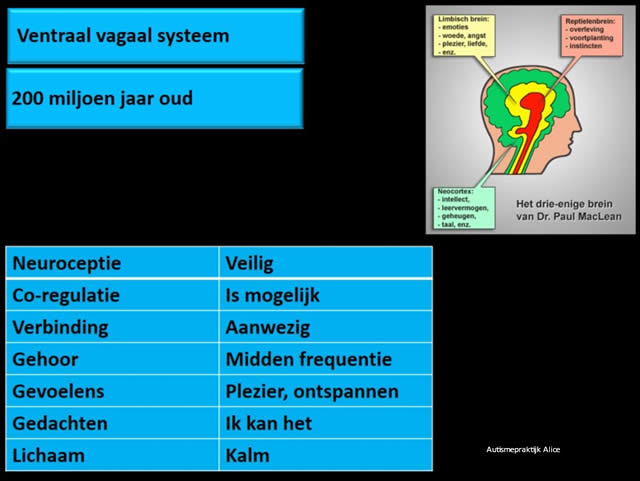 ventraal vagaal systeem